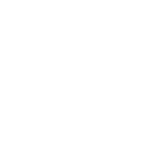 Palmer Nutrition Logo